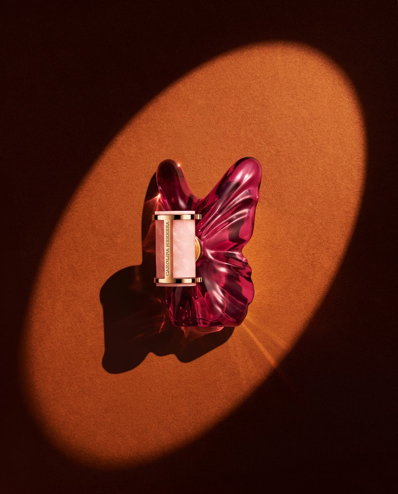 The Enchanted Butterfly Mystery Box