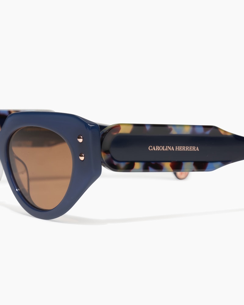 Oval Frame Sunglasses With Contrast Temples