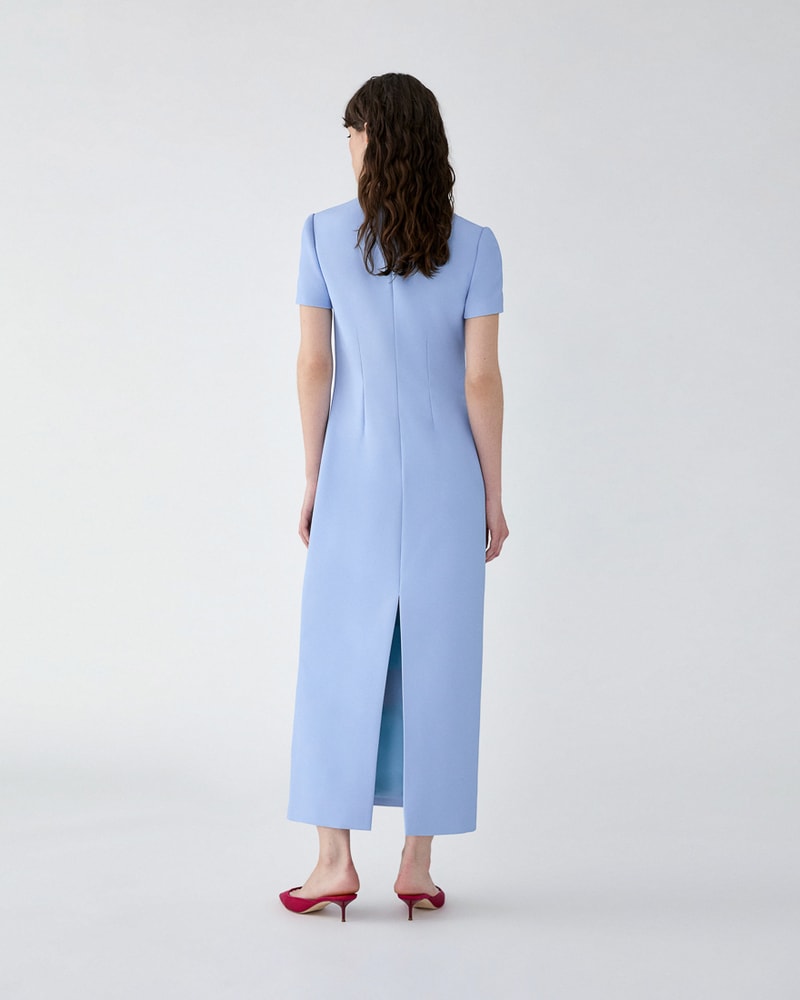 Hydrangea-Embroidered Midi Dress | Carolina Herrera US