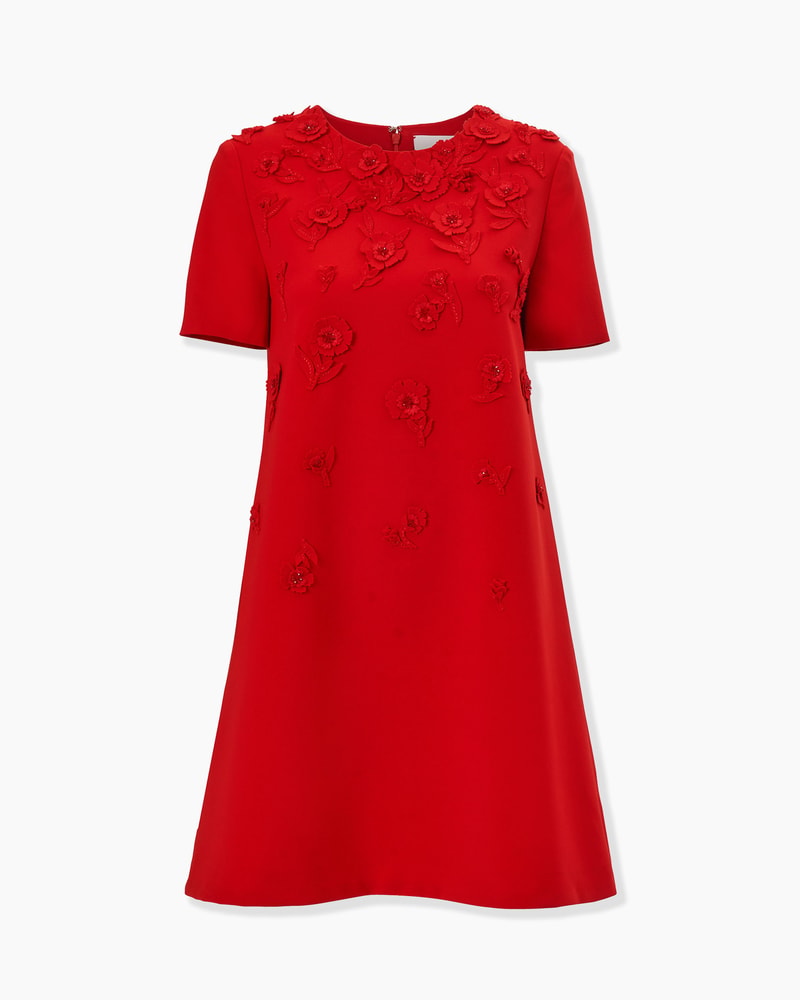 Carnation-Embroidered Mini Dress
