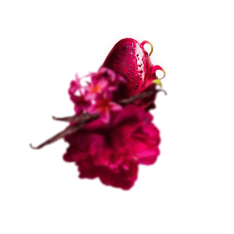 Pitaya Exotique