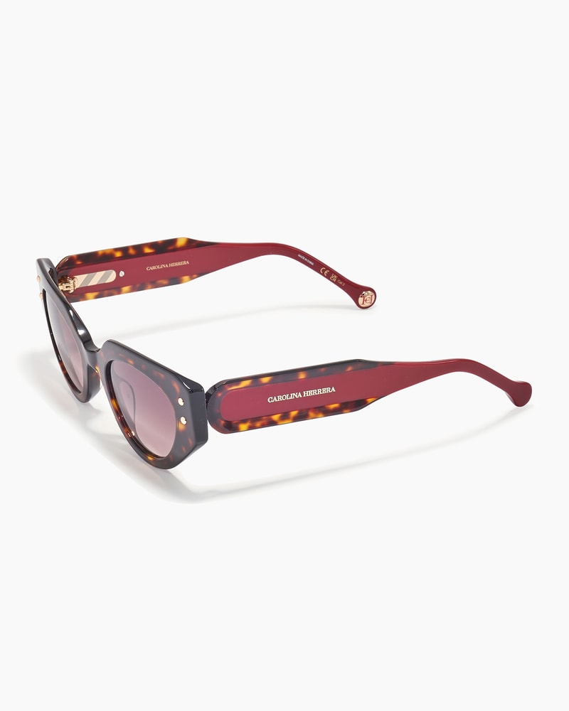 Oval Frame Sunglasses With Contrast Temples