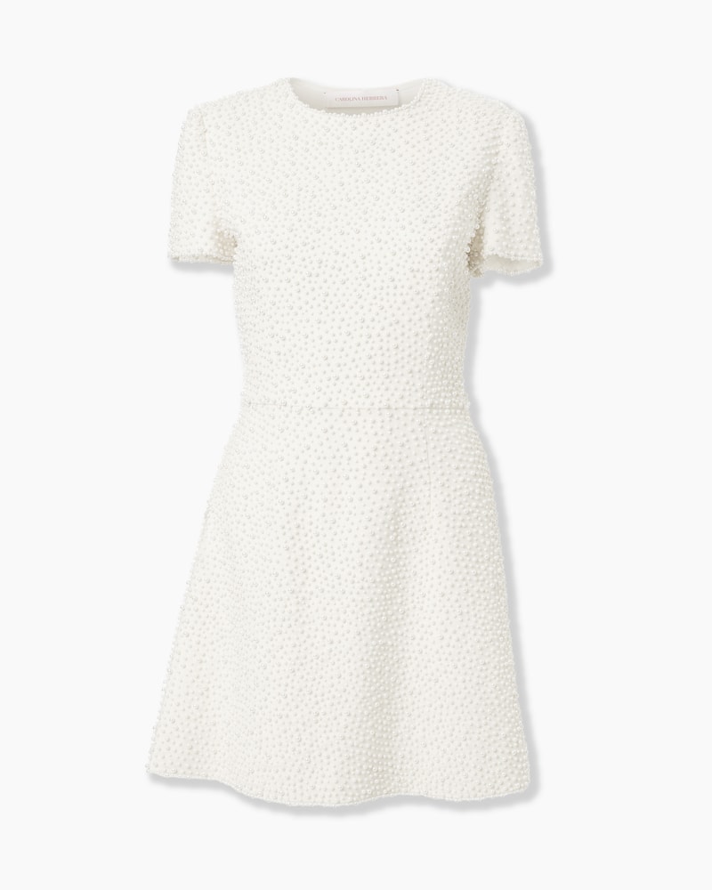 Pearl-Embroidered Mini Dress