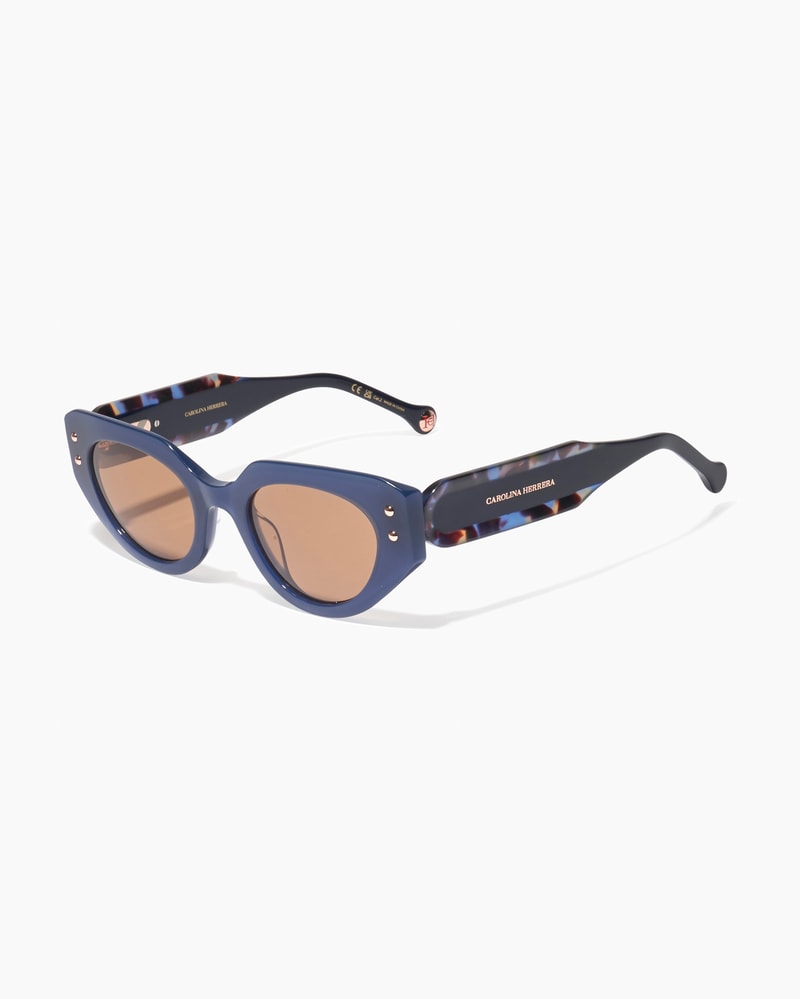 Oval Frame Sunglasses With Contrast Temples