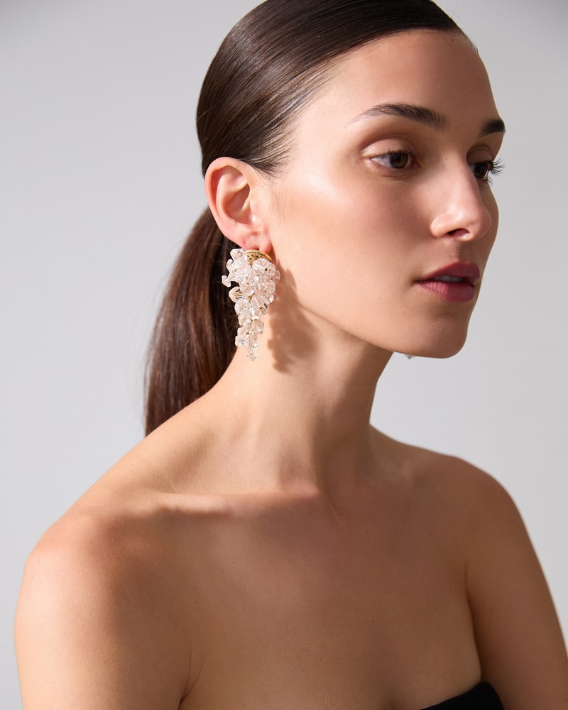 Bead Cluster Earrings - Accessories | Carolina Herrera