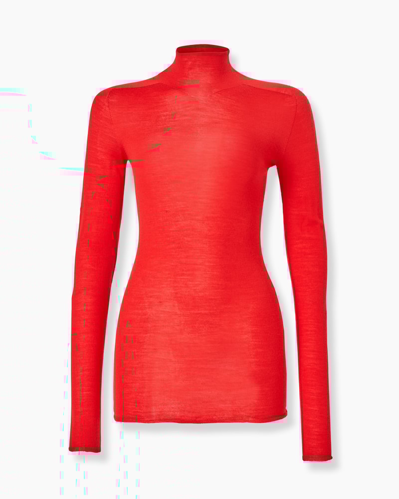 Sheer turtleneck sweater shop